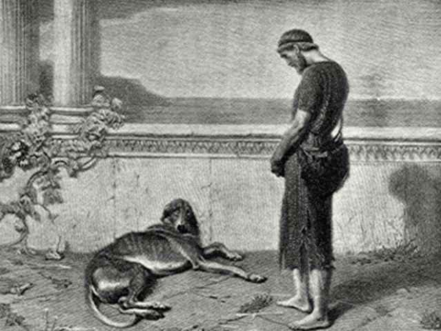 06534d62-13f3-44f8-9cb5-3a7b98f6c4ee