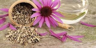 αρχείο λήψης (1)