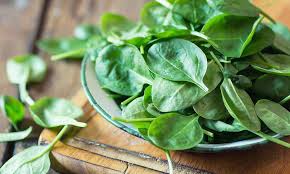 αρχείο λήψης