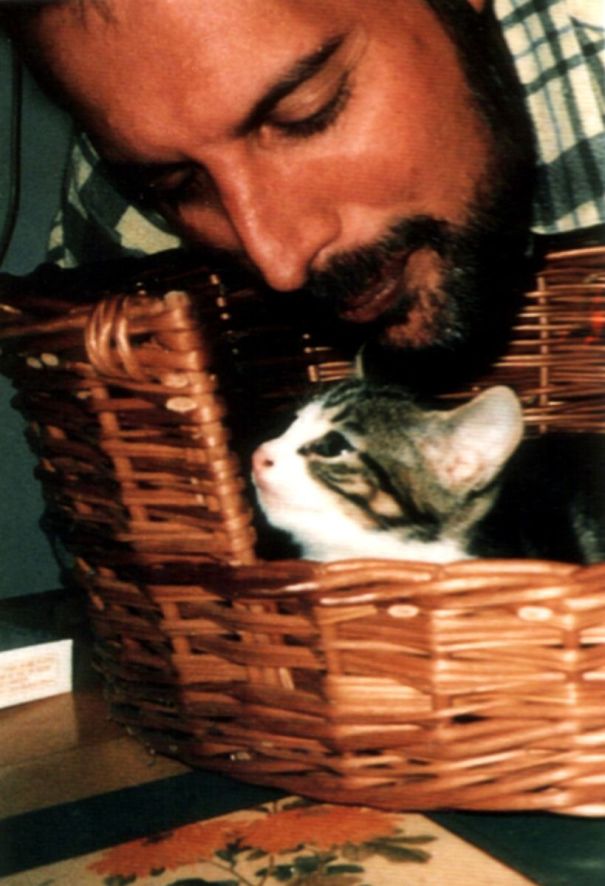 freddie-mercury-cats-5c6fb7867cc0b-605.jpg
