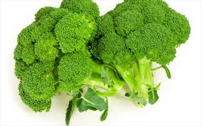 αρχείο λήψης (5).jpg