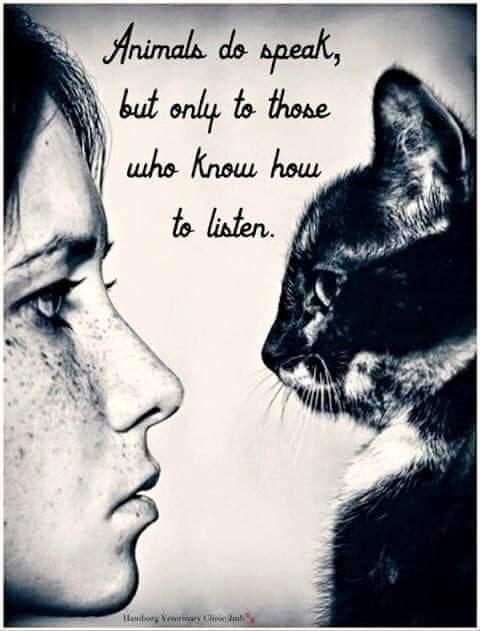 89086092_2624436097684938_5075586733148471296_n