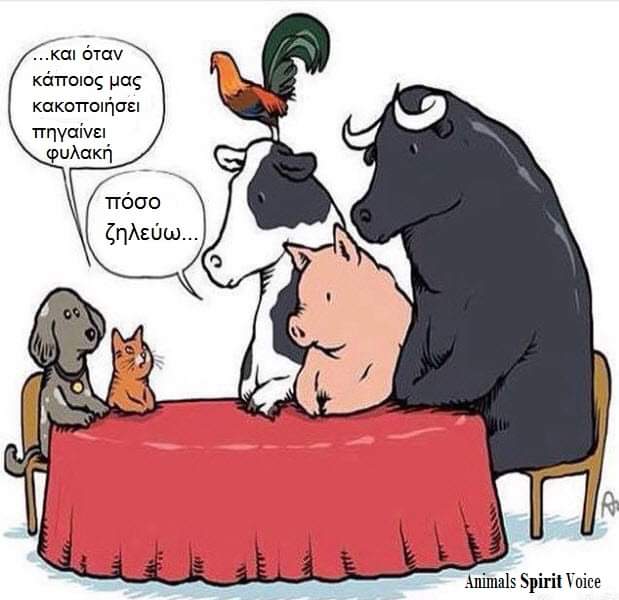 89356498_2624435424351672_7473634542654324736_n