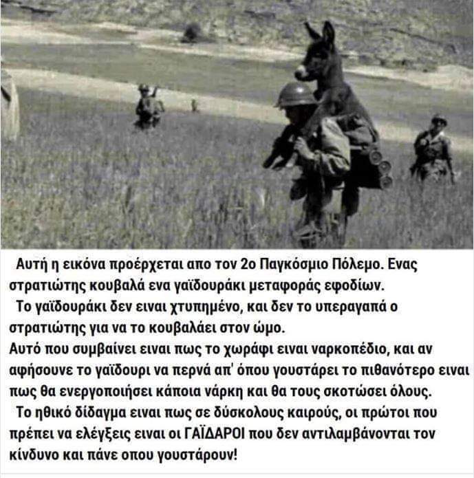 93376548_2710435889084958_1220137549515718656_n