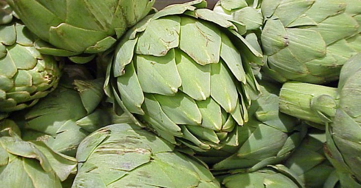 agkinara-sykoti-xoli
