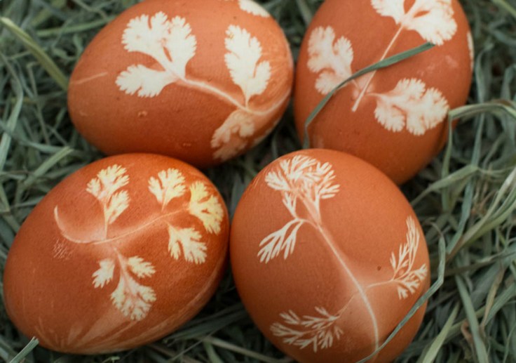 newego_LARGE_t_821_106539543