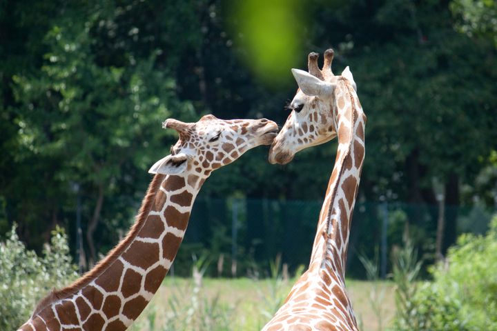 5d77786a2400002e2a77c9bb